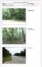 1117 Mt Holly Road sold home in Rock Hill, SC