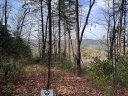Tbd Birch Lane 34 sold home in Brevard, SC