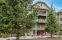 9 Kenilworth Knoll 103 sold home in Asheville, SC
