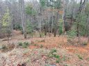 170 Forest Lake Heights Drive sold home in Nebo, SC