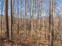 112 S Lindon Cove Road 34 sold home in Candler, SC