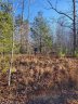 72 Tayberry Drive sold home in Nebo, SC