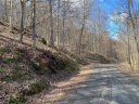 Lot Iii Bear Springs Road sold home in Bakersville, SC