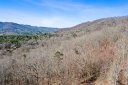 99999 Silver Hawk Lane sold home in Weaverville, SC