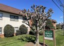 427 6th Avenue B-7 sold home in Hendersonville, SC