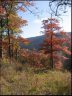 102 Trillium Lane C-3 sold home in Black Mountain, SC