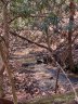 368 Campbell Drive sold home in Pisgah Forest, SC