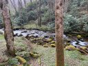 Lot 86b Reservation Road 86B sold home in Maggie Valley, SC