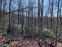 Tbd Rhododendron Drive 740 sold home in Old Fort, SC