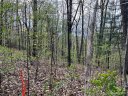 99999 Buffalo Trail 86 sold home in Asheville, SC