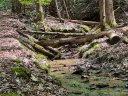 Lot 309 Campbell Drive sold home in Pisgah Forest, SC