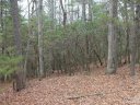 000 Wildlife Trail 1.16 ACRES sold home in Hendersonville, SC