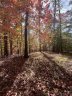 0 Valley Drive 142 sold home in Rutherfordton, SC
