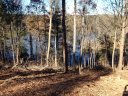 4054 Nesting Lane 30 sold home in Valdese, SC