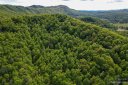 00 Foster Hill Drive sold home in Hendersonville, SC