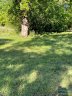 1151 Carolina Avenue Extension sold home in Rock Hill, SC