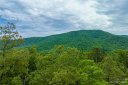 218 Watershed Way sold home in Horse Shoe, SC