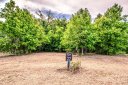 160 Pumice Drive sold home in Statesville, SC