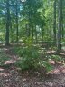 213 St Andrews Road sold home in Statesville, SC