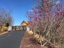 0 Owls Ridge Drive 127 sold home in Bostic, SC
