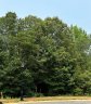 0 Shanklin Lane 26 sold home in Denver, SC