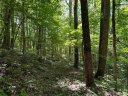 00 Old Country Road 309 sold home in Waynesville, SC