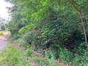 00 Roberts Trail LOT 454 sold home in Lake Lure, SC