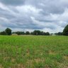 Approx 8 176 On Tite Road sold home in Stanfield, SC