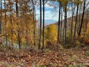 1332 Daydream Ridge 67 sold home in Swannanoa, SC