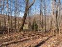 115 Lindon Cove Road 33 sold home in Candler, SC