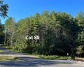 8 325 Acres Lot 89 Round Mountain Parkway sold home in Lenoir, SC