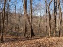 103 Lindon Cove Road 31 sold home in Candler, SC