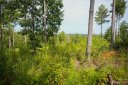 2083 Jumping Run Lot 186 sold home in Connelly Springs, SC