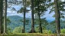 0 Adirondack Lane sold home in Bostic, SC