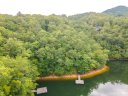 Lot 150 Trout Lily Lane sold home in Tuckasegee, SC