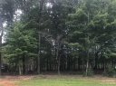 6217 Hollow Oak Drive 88 sold home in Mint Hill, SC