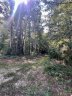 1337 Old Greenbriar Drive 50 sold home in Lancaster, SC