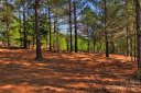 0 Hearthstone Drive 20 sold home in Union Mills, SC