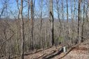 Lot 139 Rocky Knob Road sold home in Burnsville, SC