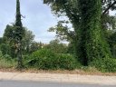 00 Holland Avenue sold home in Charlotte, SC