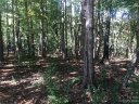 2336 Salute Boulevard 41 sold home in Mint Hill, SC