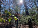 000 Timberlane Drive 34 sold home in Pisgah Forest, SC
