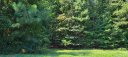 108 Blue Ridge Trail sold home in Mooresville, SC
