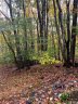 164 Wild Daisy Lane sold home in Beech Mountain, SC