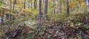 0 Heather Way sold home in Waynesville, SC