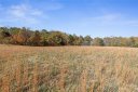 85 Scott Meadows Drive sold home in Asheville, SC
