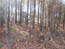 0 Tidewater Road sold home in Salisbury, SC