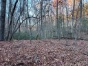 0 Rocky Mount Drive 52 sold home in Lake Lure, SC