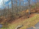 00 Basswood Cove sold home in Maggie Valley, SC