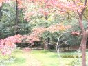 7033 Lakeside Drive sold home in Charlotte, SC